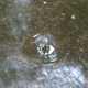 Image for article titled Refraction Shooting Challenge Gallery 1